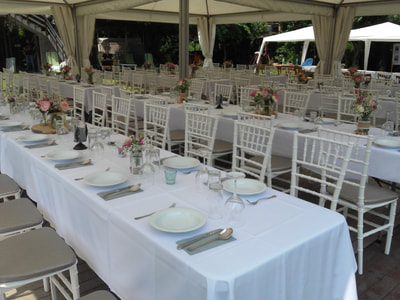 stolice za svadbe